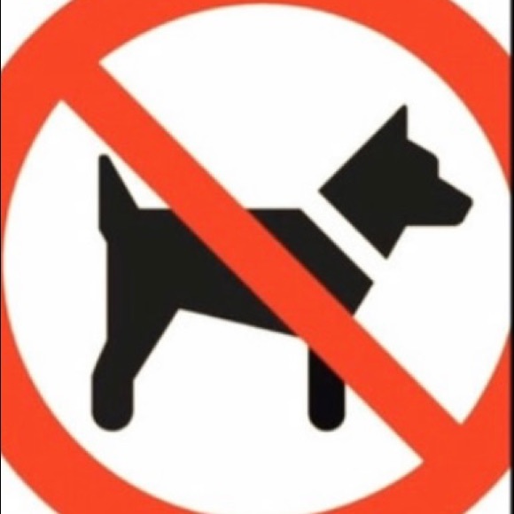 SZ SM MASSIMO SUPPLY CO SPORTS BRA W LADDER BACK - Picture 8 of 9